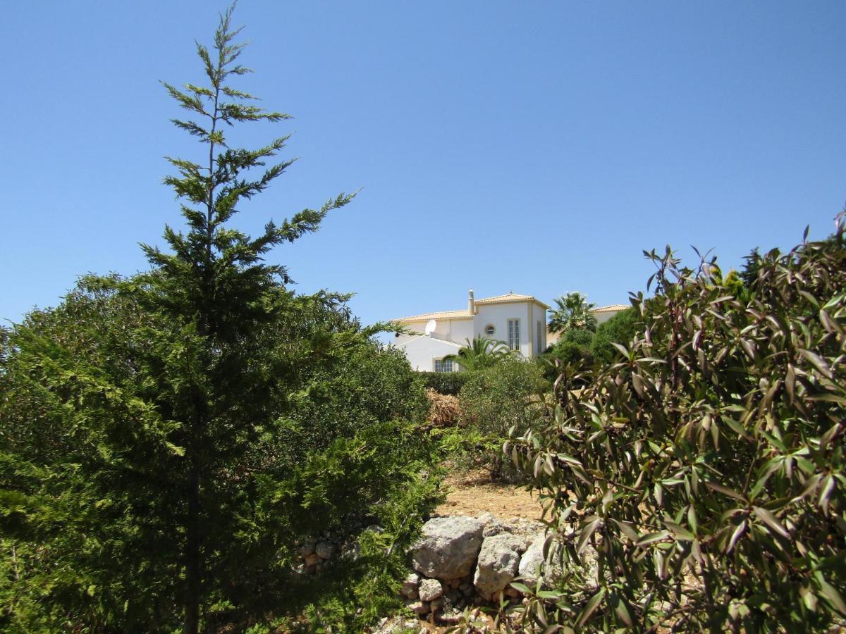 Flores Villa *